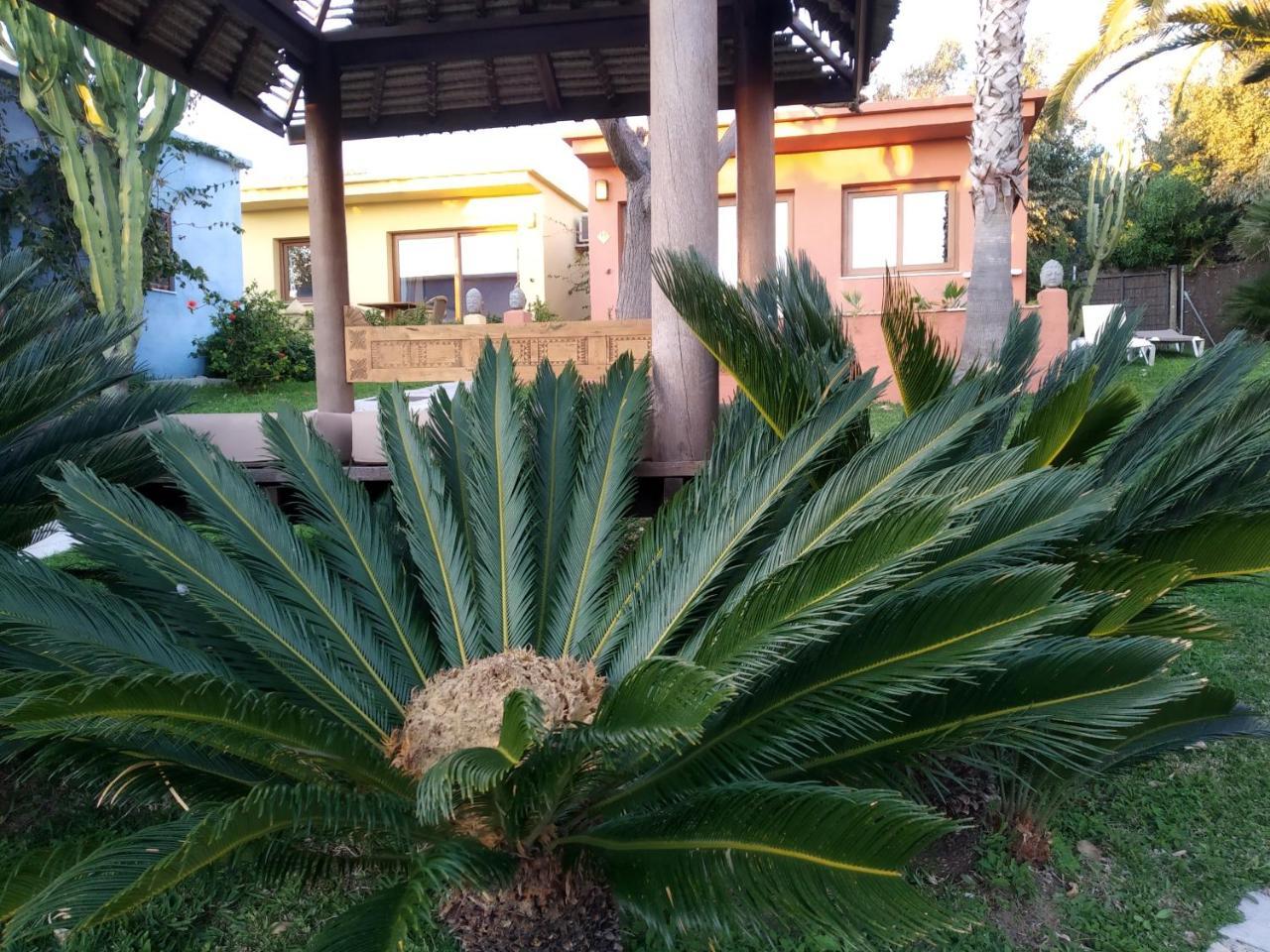 Beach Hotel Dos Mares タリファ エクステリア 写真